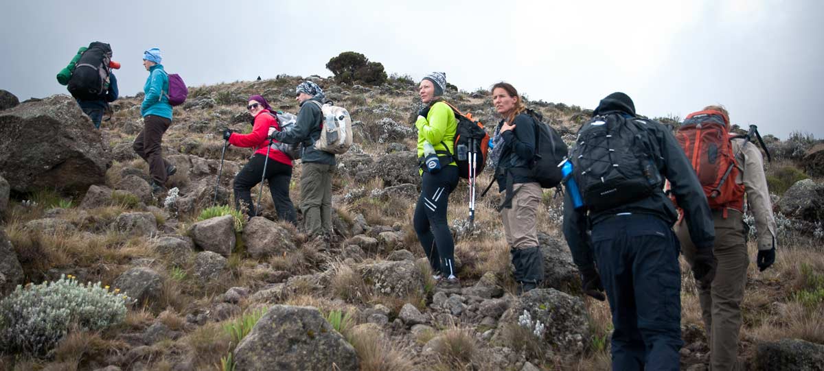 5 Day Kilimanjaro And Wildlife Safari 